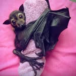 Wanda Rains - @wandarains1 - Instagram