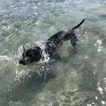 Wanda Randle - @wanda.randle.378 - Instagram