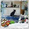 Wanda Randle - @wanda.randle6 - TikTok