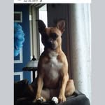 Wanda Rauschenbach - @wandarauschenbach - Instagram