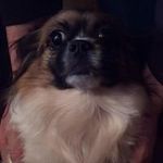 Wanda Rayburn - @wandarayburn - Instagram