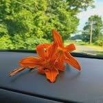 Wanda Stankowski Redden - @wandamelon05 - Instagram