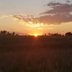 Wanda Reece - Facebook