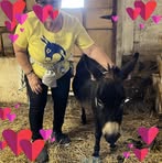 Wanda Reid - Facebook
