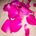 Wanda Reyes - @wandareyes807 - Instagram