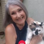 Wanda Ribeiro - @wandaribeiro117 - Instagram