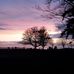 Wanda Reimer - Facebook