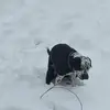 Wanda Roachni - @wanda.roachni - TikTok