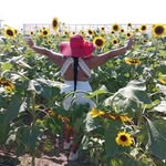 Wanda Roche - @wandaroche5 - Instagram