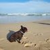 Wanda Rosales - Facebook