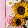 Wanda Rosas - @wanda.rosas - TikTok