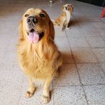 RSW - @rubio_sasha_wanda - Instagram