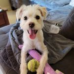 Wanda Rudd - @gidgetcaliforniagirl - Instagram
