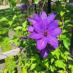 Wanda Rudd-Karnasiewicz - @wonka50 - Instagram