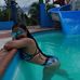 Wanda Ruiz - Facebook