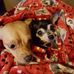 Wanda Ruiz - Facebook