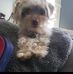 Robert Wendy - Facebook
