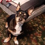 Wanda F Rust - @minnie1963a - Instagram