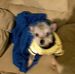 Wanda Rutherford - Facebook