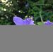 Wanda Rutherford - Facebook