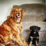 Samson and Wanda - @samson_n_wanda - Instagram