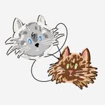 Samson and Wanda - @samsonandwanda - Instagram