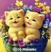 Wanda Samson - Facebook