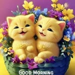 Wanda Samson - @andaw7334 - Instagram