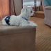 Wanda Foutz Sanderson - Facebook