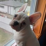 Wanda Sands - @massive_micco - Instagram