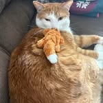 Wanda Sandy - @wsandy4532 - Instagram