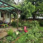 Wanda Sargent - @vegico5957 - Instagram