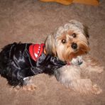 Wanda Saunders - Facebook