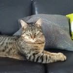 Marie Jatzko - @wandaschatzi5278 - Instagram