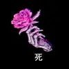 前田明美 - @wandaschmittatibgb - TikTok