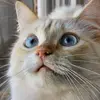 Wanda Schofield - @wanda.schofield - TikTok