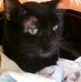 Wanda Schrader - Facebook