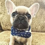 Wanda Schrader - @wschrader2004 - Instagram