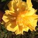 Wanda Schroeder - Facebook