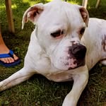 Wanda Schuler - @wanda.schuler.12 - Instagram