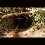 Wanda Schuler - @bruzieymis8 - Instagram