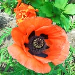 Wanda Jacobs - @wandaschultz1954 - Instagram