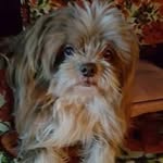 Wanda Searcy-Marshall - @searcymarshall - Instagram