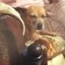 Wanda Searle - Facebook