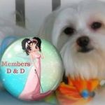 Wanda Tyson Seay - @seaywanda - Instagram