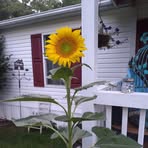 Wanda Segars Gettys - Facebook