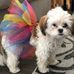 Wanda Seitz - Facebook