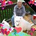 Wanda Seltsam - Facebook
