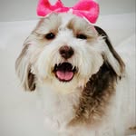 Wanda Severson - @dndoongyovai - Instagram