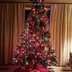 Wanda Severson Ace - @wanda.s.ace - Instagram
